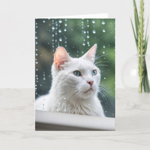White Cat In Rainy Window Card