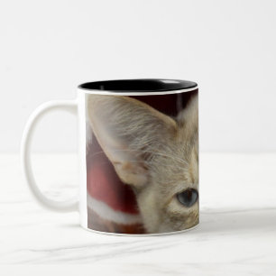 White Cat in Red Christmas Hat Coffee Mug