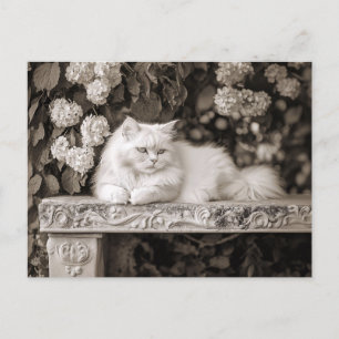 White Cat in the Flower Garden Postcard