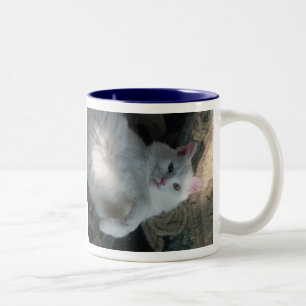 White cat mug, Kitty Surprise Two-Tone Coffee Mug
