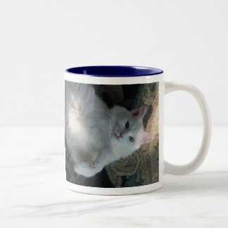 White cat mug, Kitty Surprise Two-Tone Coffee Mug