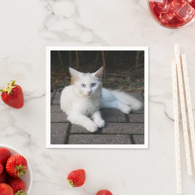White Cat Napkin (Insitu)