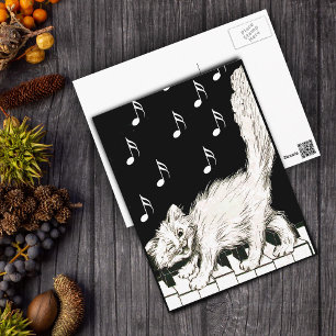 White Cat on Piano Keys Postcard