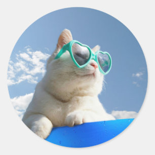 White cat on vacation classic round sticker