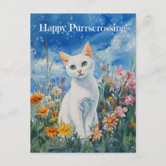 White Cat Postcrossing - Postcard