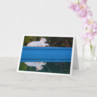 White Cat Reflection Card