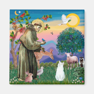 White Cat - Saint Francis Magnet