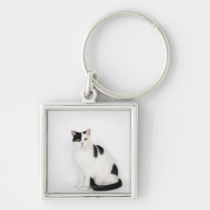 White cat with black spots key ring
