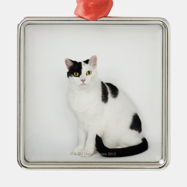 White cat with black spots metal tree decoration (Front)