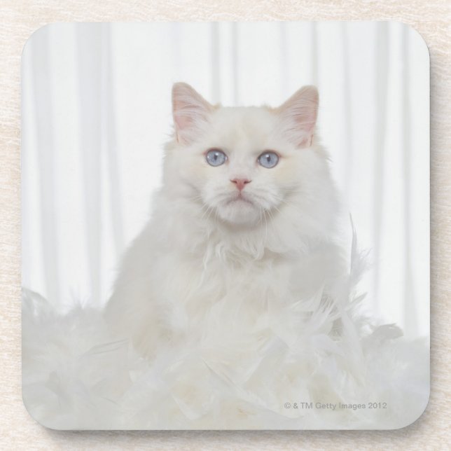 White Cat with Feathers Coaster (Front)