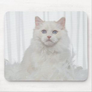 White Cat with Feathers Mouse Pad