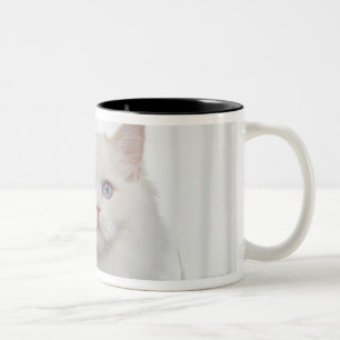 White Cat with Feathers Two-Tone Coffee Mug