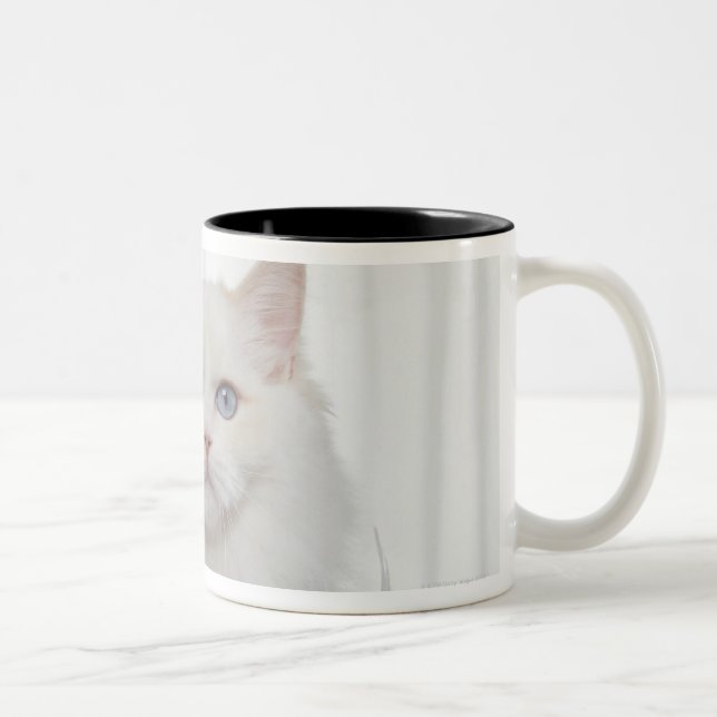 White Cat with Feathers Two-Tone Coffee Mug (Right)