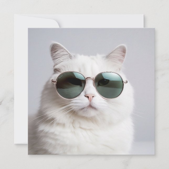 White cat with sunglasses, cool feline, lovely pet invitation (Front)