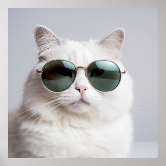 White cat with sunglasses, cool feline, lovely pet poster