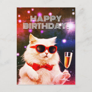 White cat with sunglasses toasting Birthday Postcard