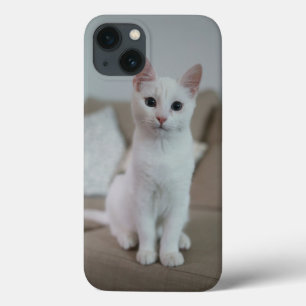White cat   Zazzle_Growshop. iPhone 13 Case
