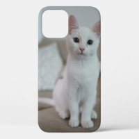 white cat | Zazzle_Growshop.