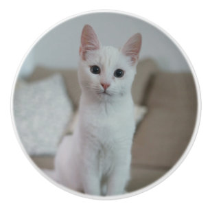 White cat Zazzle_Growshop. Ceramic Knob
