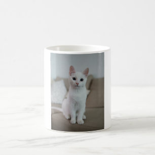 White cat Zazzle_Growshop. Coffee Mug