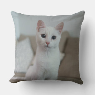 White cat Zazzle_Growshop. Cushion