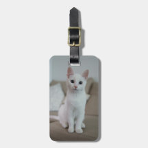 White cat | Zazzle_Growshop.