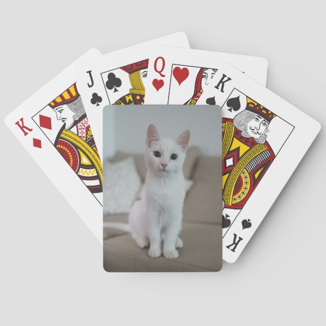 White cat | Zazzle_Growshop. Playing Cards (Back)