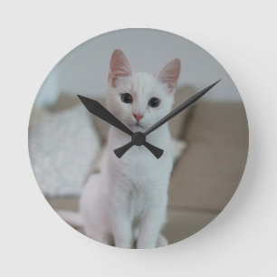 White cat   Zazzle_Growshop. Round Clock