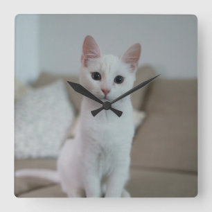 White cat Zazzle_Growshop. Square Wall Clock