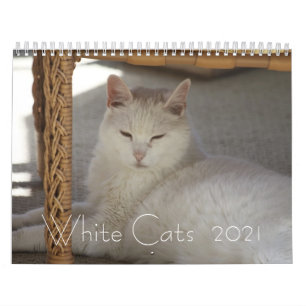 White Cats  2021 Calendar
