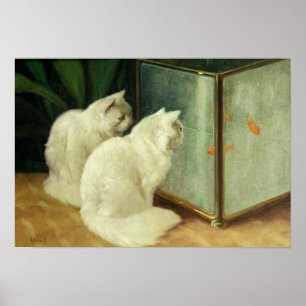 White Cats Watching Goldfish Poster