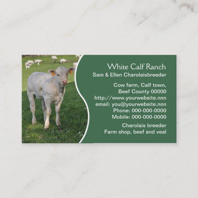White charolais calf with green panel business card (Front)