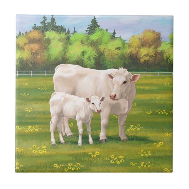 White Charolais Cow & Cute Calf Beef Cattle Ceramic Tile (Front)