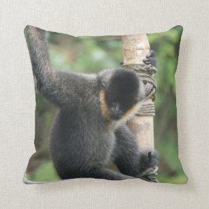 White Cheeked Capuchin Pillow
