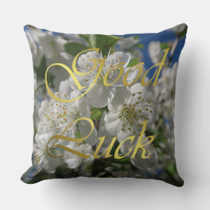 white cherry blossom in spring against a blue sky cushion