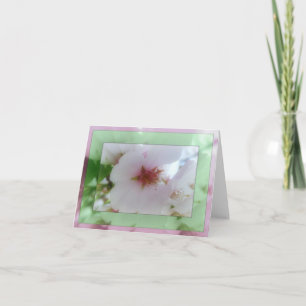 White Cherry Blossom Reflections Note Card