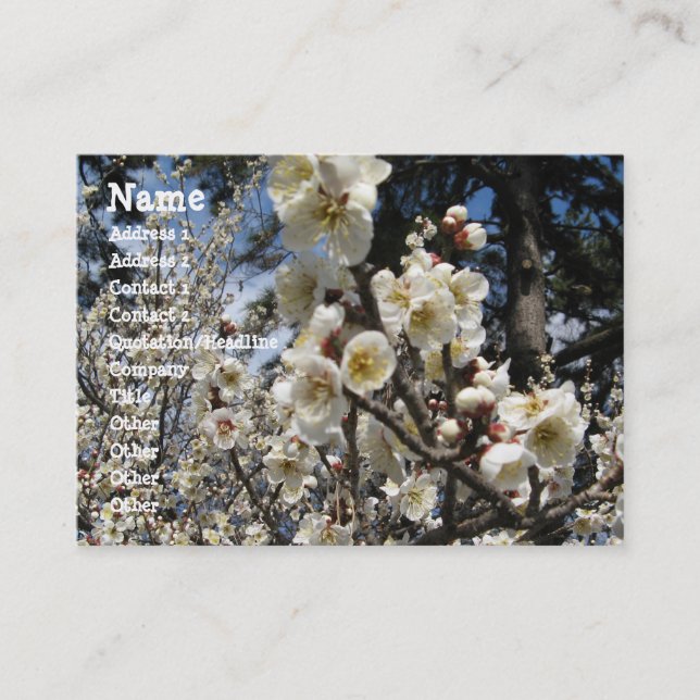 White Cherry Blossom / Sakura / サクラ（桜） Business Card (Front)
