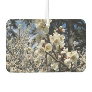 White Cherry Blossom / Sakura / サクラ(桜) Car Air Freshener