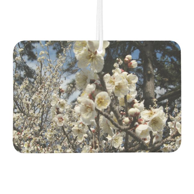 White Cherry Blossom / Sakura / サクラ（桜） Car Air Freshener (Front)
