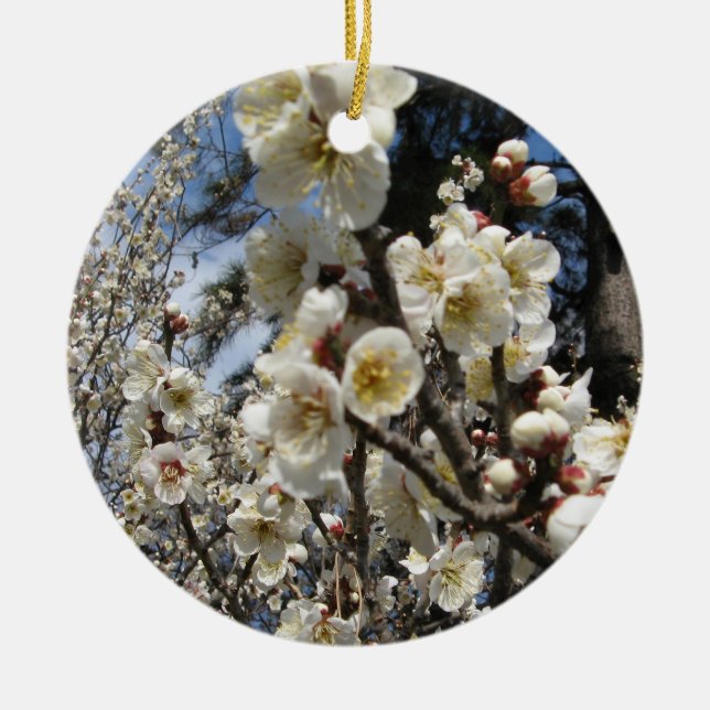 White Cherry Blossom / Sakura / サクラ（桜） Ceramic Ornament (Front)