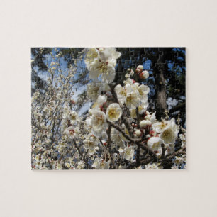 White Cherry Blossom / Sakura / サクラ（桜） Jigsaw Puzzle