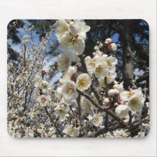 White Cherry Blossom / Sakura / サクラ(桜) Mouse Pad