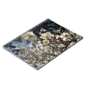 White Cherry Blossom / Sakura / サクラ（桜） Notebook