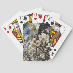 White Cherry Blossom / Sakura / サクラ（桜） Playing Cards