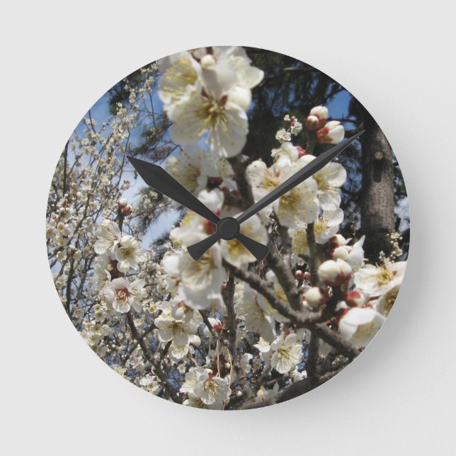 White Cherry Blossom / Sakura / サクラ（桜） Round Clock (Front)
