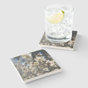 White Cherry Blossom / Sakura / サクラ(桜) Stone Coaster