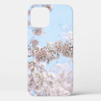 White cherry blossom under clear blue sky in the m