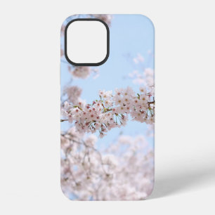 White cherry blossom under clear blue sky in the m iPhone 12 case