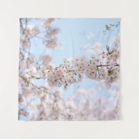 White cherry blossom under clear blue sky in the m