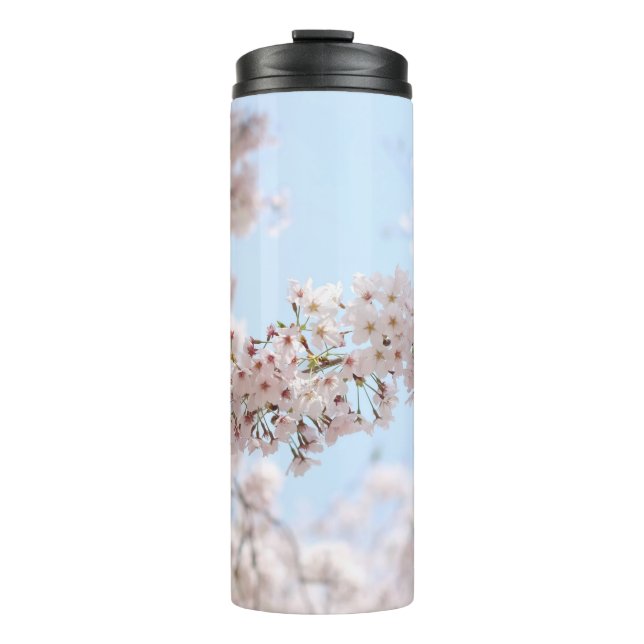 White cherry blossom under clear blue sky in the m thermal tumbler (Front)